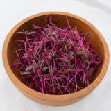 Microgreen Amaranth Seeds