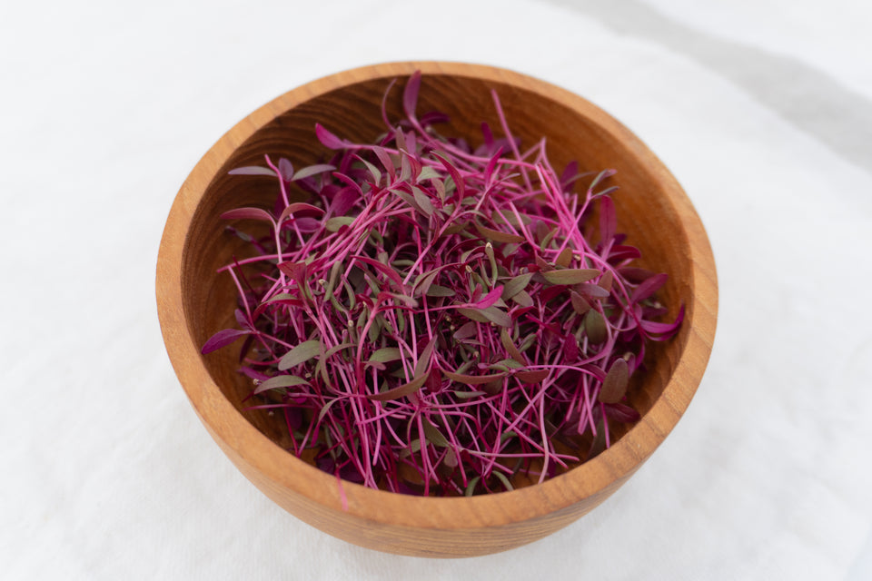 Microgreen Amaranth Seeds