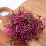 Microgreen Amaranth Seeds