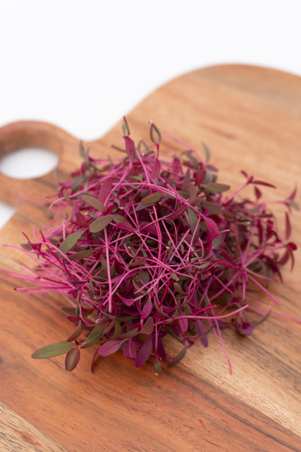 Microgreen Amaranth Seeds