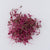 Microgreen Amaranth Seeds