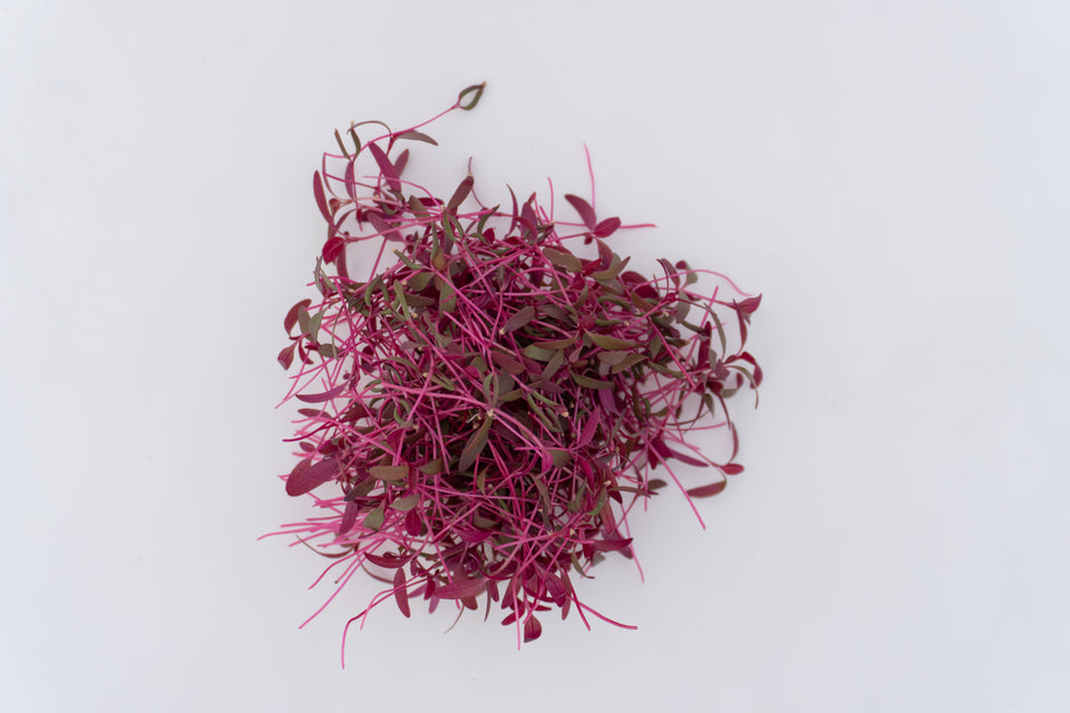Microgreen Amaranth Seeds