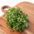 Microgreen Mustard Seeds