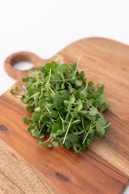 Microgreen Mustard Seeds
