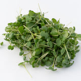 Microgreen Mustard Seeds