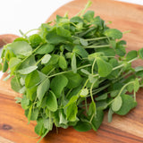 Microgreen Pea Shoots