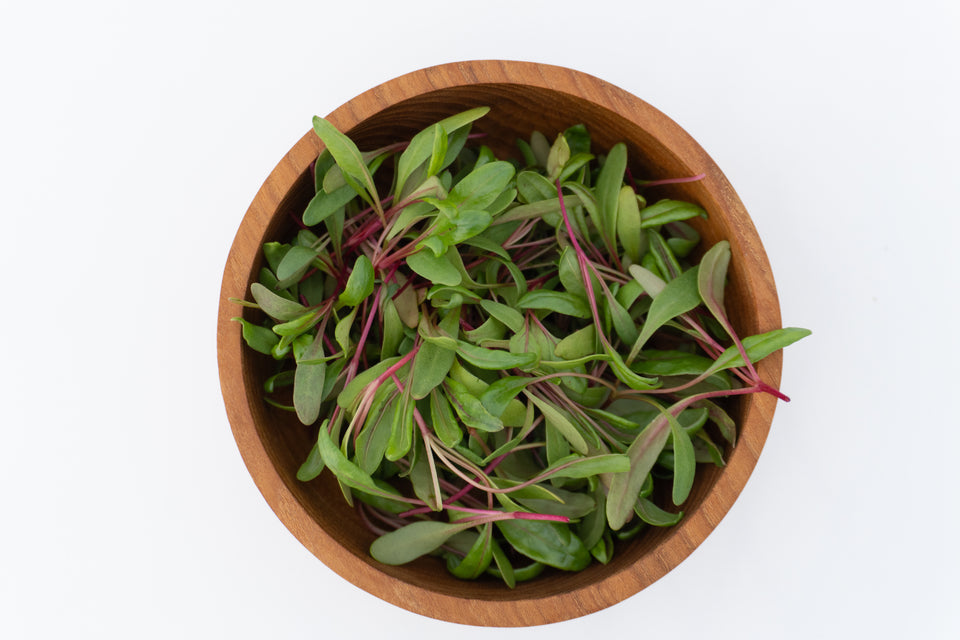 Microgreen Swiss Chard Seeds