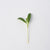 Micro Fenugreek Organic