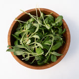 Micro Fenugreek Organic