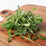 Micro Fenugreek Organic