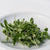 Micro Fenugreek Organic