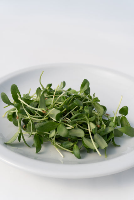 Micro Fenugreek Organic