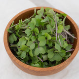 Microgreen Kohlrabi Seeds