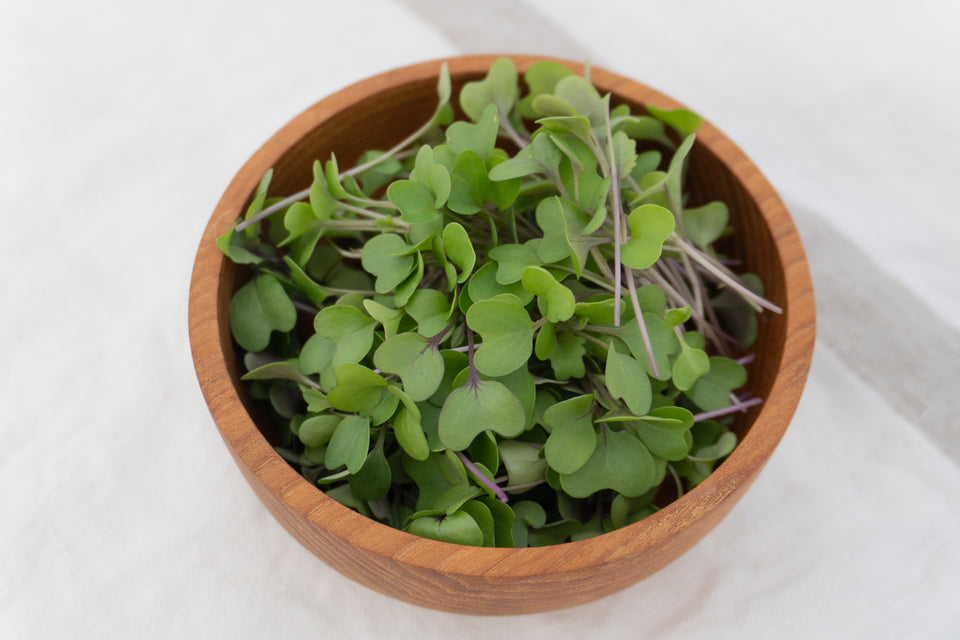 Microgreen Kohlrabi Seeds