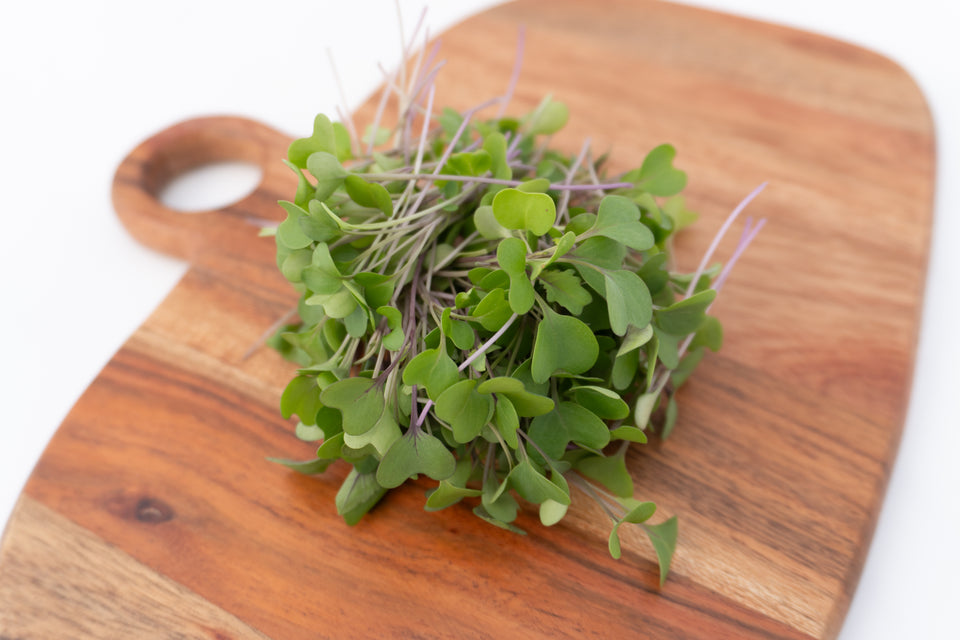 Microgreen Kohlrabi Seeds
