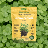 Micro Clover Seed Raw