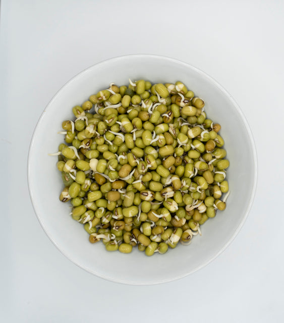 Mung Beans Organic