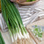 White Lisbon Seed Tape