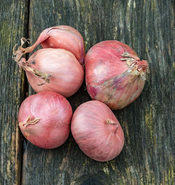 Multiplier-Onion-Sets on a rustic wooden board