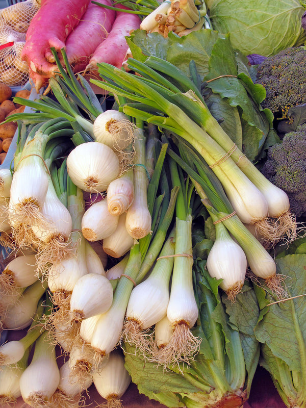 Multiplier Onion Sets with nutritious vegetables