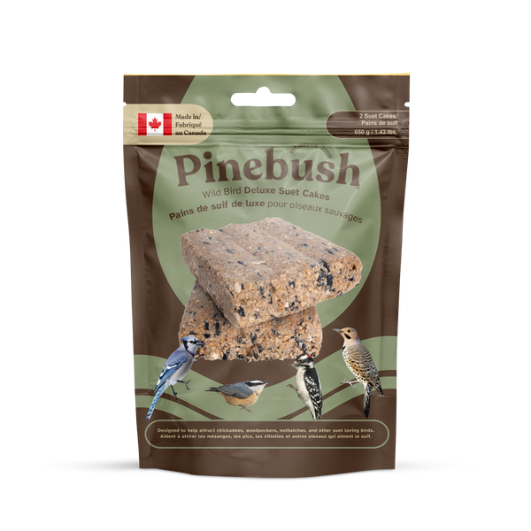 Wild Bird Deluxe Suet Cakes 2/pk