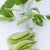 Sugar Ann Certified Organic