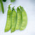 Oregon Sugar Pod II Certified Organic