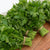 Laica Organic
