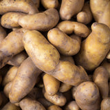 La Ratte Fingerling Organic