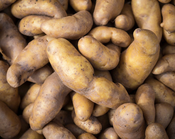 La Ratte Fingerling Organic