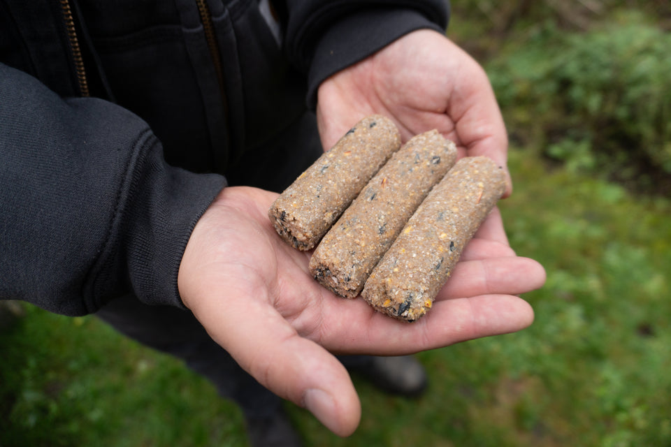 Peanut Suet Plugs - 8 Pack