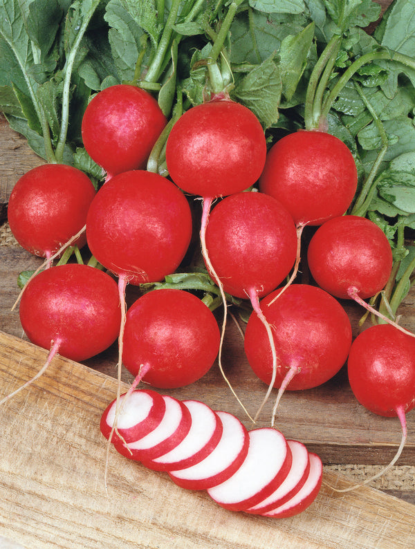 Cherry Belle Seed Tape