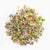 Radish Organic