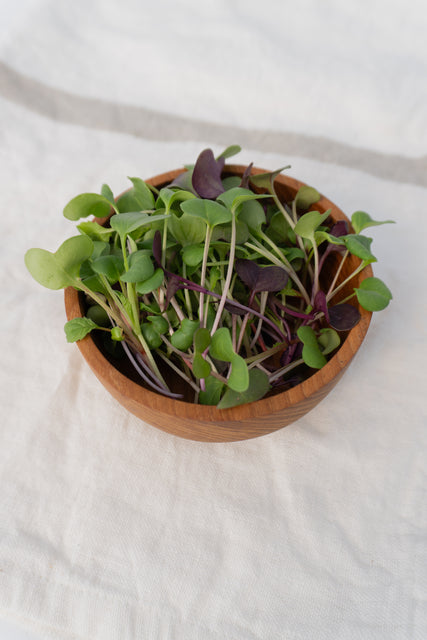 Radical Radish Mix