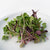 Radical Radish Mix
