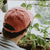 West Coast Seeds - A man wearing an Organic Cotton Hat  in a garden, made in canada
