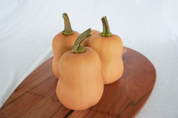 Butterbaby F1 Certifed Organic