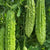 Green Pearl F1