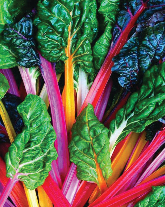 bright lights swiss chard west coast seeds