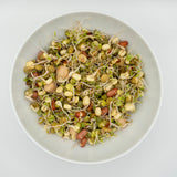 Salad Sprouting Seeds Organic