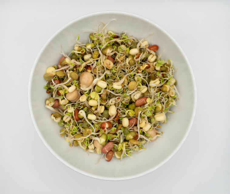 Salad Sprouting Seeds Organic