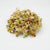 Salad Sprouting Seeds Organic