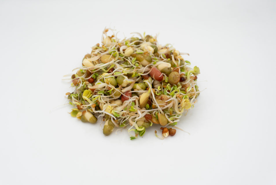 Salad Sprouting Seeds Organic