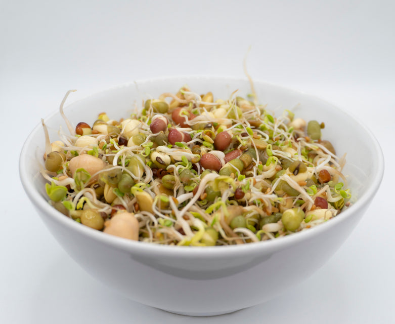 Salad Sprouting Seeds Organic