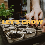 Electronic Gift Card