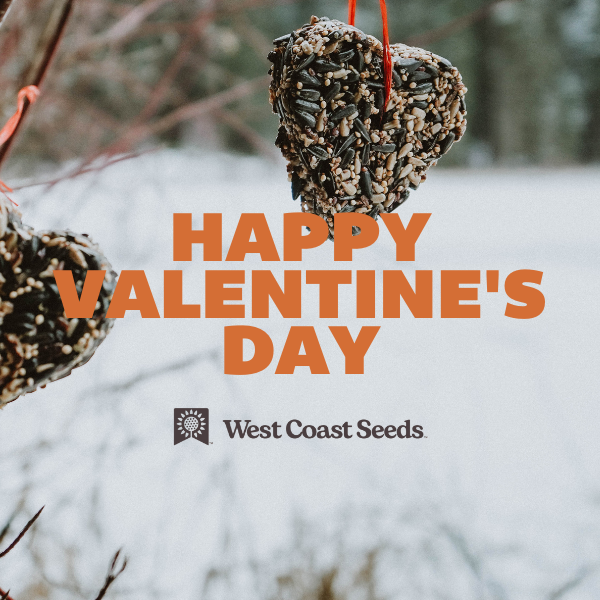 Electronic Gift Card