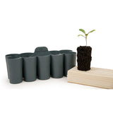 Sili-Seedlings 10 Cell