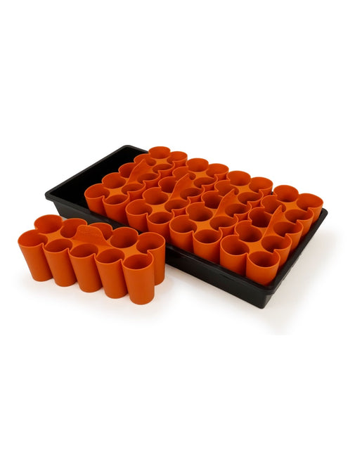Sili-Seedlings 10 Cell