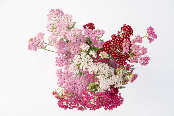 Flowerburst Fruit Bowl