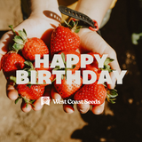 Electronic Gift Card